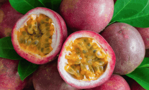 Chanh leo Việt Nam được nhập khẩu thí điểm vào Trung Quốc từ 1/7