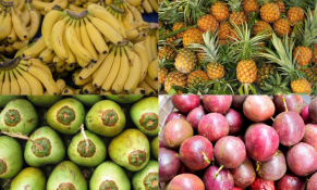 Khai mở tiềm năng trái cây Việt