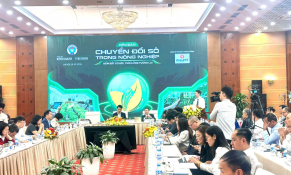 Từ truyền thống đến số hóa: Hợp tác xã nông nghiệp trên hành trình chuyển đổi bền vững