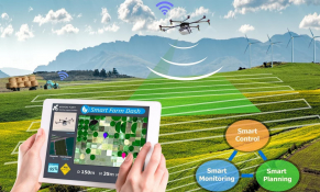 Chuyển đổi kép xu hướng tất yếu phát triển kinh tế xanh 