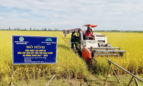 Trợ lực mới cho nông nghiệp, nông thôn