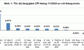 Tháng 11/2022: Chỉ số giá tiêu dùng tăng 0,39%, lạm phát cơ bản tăng 0,43% so với tháng trước