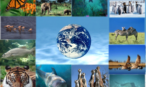 Bào mòn hệ sinh thái