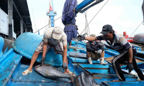  8 nhóm nhiệm vụ, giải pháp gỡ cảnh báo “Thẻ vàng” của EC đối với khai thác hải sản