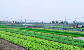 Luật Đất đai 2024 - Cơ hội hút đầu tư vào nông nghiệp, nông thôn