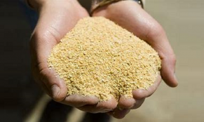 Doanh nghiệp thức ăn chăn nuôi kiến nghị xem xét lại cách áp thuế