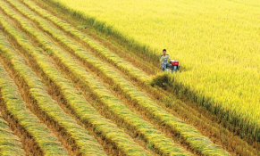 Đồng Nai: Tạo môi trường thông thoáng để thu hút đầu tư vào nông nghiệp, nông thôn