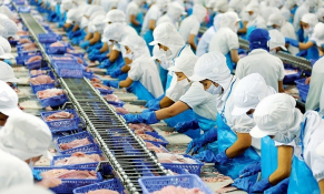 Cập nhật danh sách các doanh nghiệp thủy sản Việt Nam được phép xuất khẩu sang Đài Loan