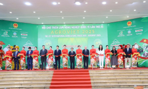 Hợp tác nông sản Việt – Trung: Hướng tới chuỗi cung ứng hiện đại và bền vững