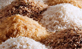 Ấn Độ công bố tiêu chuẩn quy định đầu tiên cho gạo Basmati