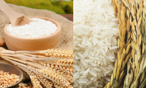 Cơ hội tham gia Đoàn giao dịch thương mại gạo tại thị trường Bờ Biển Ngà