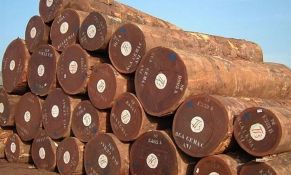 Tạm ngừng kinh doanh tạm nhập, tái xuất gỗ tròn, gỗ xẻ từ rừng tự nhiên từ Lào và Campuchia