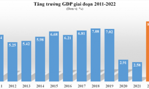 GDP đạt mức tăng cao nhất trong giai đoạn 2011-2022, ước tính tăng 8,02% 