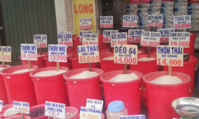 TP. HCM: Thực hiện chương trình bình ổn thị trường các mặt hàng gạo