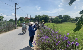 Huyện Gia Lâm xây dựng Nông thôn mới kiểu mẫu gắn với quá trình đô thị hóa