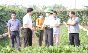 Hà Nội: Nông nghiệp thủ đô năm 2022 gặt hái được nhiều thành khi áp dụng khoa học công nghệ