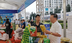 Xúc tiến thương mại cho khu vực kinh tế tập thể, hợp tác xã phía Bắc