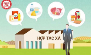 Tập trung các nguồn lực cho phát triển kinh tế tập thể, nòng cốt là hợp tác xã