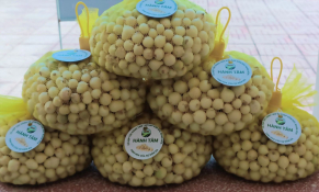 Nghệ An: Hành tăm Nghi Thuận - sản phẩm OCOP 3 sao xứng đáng nâng tầm thương hiệu