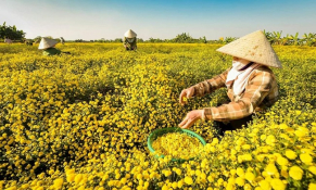 Luật Hợp tác xã 2023 được kỳ vọng tạo hướng đi mới cho kinh tế tập thể 