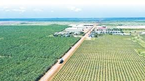 Hoàng Anh Gia Lai khó thanh toán gần 4.400 tỷ gốc lãi trái phiếu đến hạn