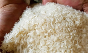 Indonesia tiếp tục cần thêm 1,5 triệu tấn gạo dự trữ quốc gia trong năm 2023