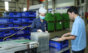 Hút nguồn lực tư nhân vào đổi mới sáng tạo