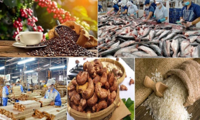 Nghiên cứu gói tín dụng 10 nghìn tỷ đồng hỗ trợ ngành sản xuất, chế biến lâm sản và thủy sản