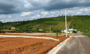Lâm Đồng phê duyệt mức giá trần làm cơ sở tổ chức đấu thầu