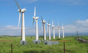 Lâm Đồng: Trong năm 2025 sẽ vận hành 02 dự án điện gió với tổng mức đầu tư hơn 4.000 tỷ đồng 