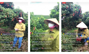 Livestream bán nông sản: Chúng ta đủ sức để vươn mình ra thế giới theo cách hiện đại nhất!