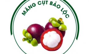 Măng cụt Bảo Lộc được Cục Sở hữu trí tuệ công nhận nhãn hiệu sản phẩm