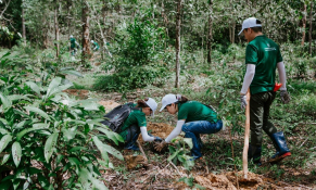 Nestlé được ghi nhận về nỗ lực bảo vệ rừng, góp phần giảm tác động từ biến đổi khí hậu