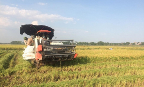 Hà Nội: Đẩy mạnh đưa cơ giới hóa vào sản xuất nông nghiệp