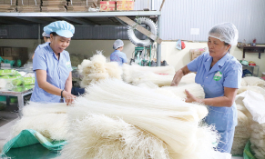 Phú Thọ: Tích cực thúc đẩy phát triển sản phẩm OCOP 'Mì gạo Hùng Lô' 