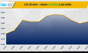 Giá dầu phục hồi, giá cà phê Arabica đứt chuỗi tăng 6 phiên