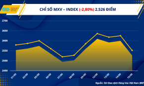 Sở Giao dịch Hàng hóa Việt Nam: Không còn lo ngại giá thực phẩm tăng theo giá xăng 