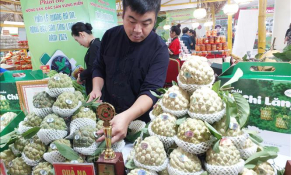 Na và nông đặc sản tỉnh Lạng Sơn tìm kiếm cơ hội kết nối giao thương tại Hà Nội