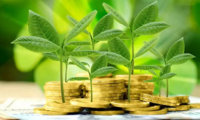 Nhiều giải pháp khơi thông dòng vốn tín dụng xanh