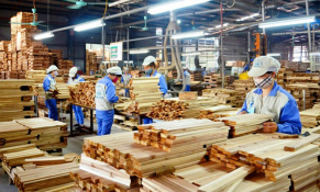 Ngành lâm nghiệp và chế biến gỗ Việt Nam hướng tới phát triển bền vững, chinh phục thị trường toàn cầu