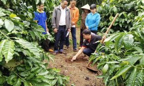 Hợp tác thúc đẩy tăng trưởng bền vững và hiện thực hóa mục tiêu Net Zero tại Việt Nam 