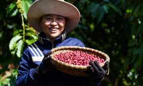 Nestlé thúc đẩy nền nông nghiệp phát thải thấp qua mô hình nông nghiệp tái sinh