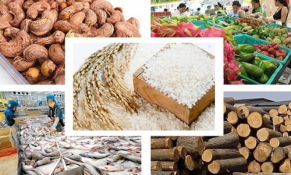 10 tháng năm 2022: Xuất khẩu nông, lâm, thủy sản đạt gần 45 tỷ USD, tăng hơn 14%