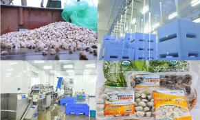 Nam Định thúc đẩy phát triển công nghiệp chế biến nông sản