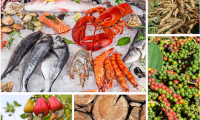 Xuất khẩu nông lâm thủy sản sang Trung Quốc có lợi thế nhờ thuế suất thấp