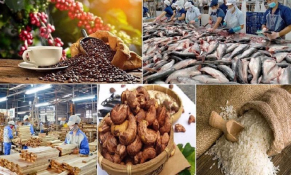 Tín dụng ưu tiên cho lĩnh vực lâm – thủy sản: Động lực mới cho sản xuất và xuất khẩu