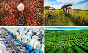 Năm 2025, ngành nông nghiệp sẽ tập trung thực hiện các giải pháp để tăng tốc và bứt phá