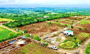 Lâm Đồng: Xử lý các vướng mắc liên quan đến việc phân lô, tách thửa 