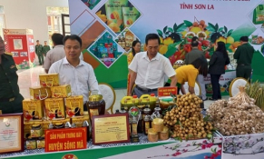 Sơn La phấn đấu mỗi xã một sản phẩm OCOP 