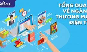 Việt Nam hiện đứng thứ ba trong khu vực về thương mại điện tử